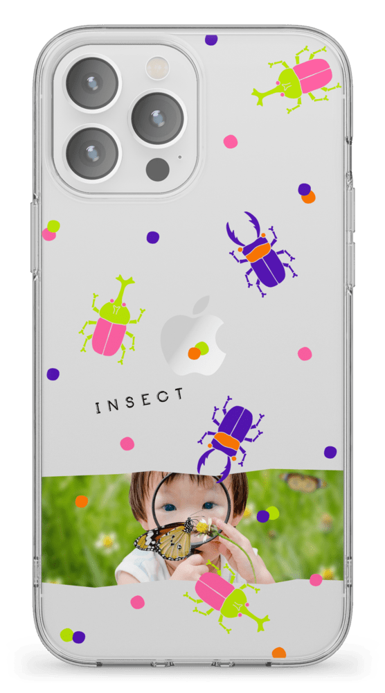 Insect